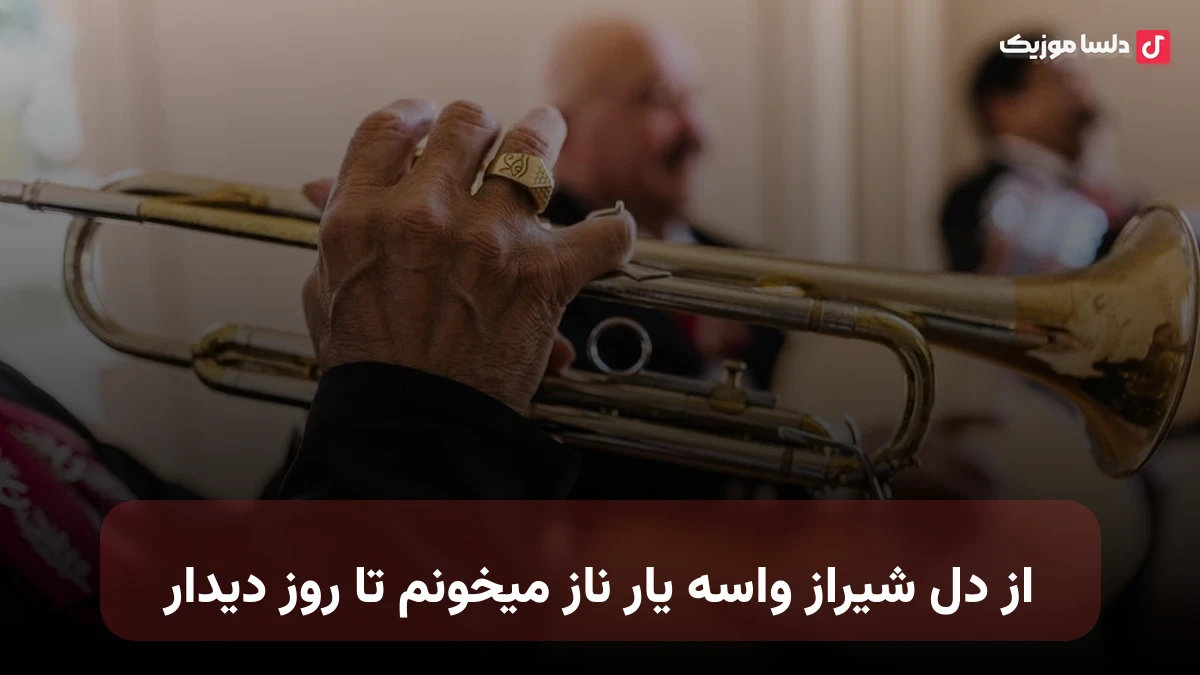 از دل شیراز واسه یار ناز میخونم تا روز دیدار با صدای زن